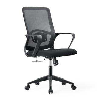 Silla Cassia