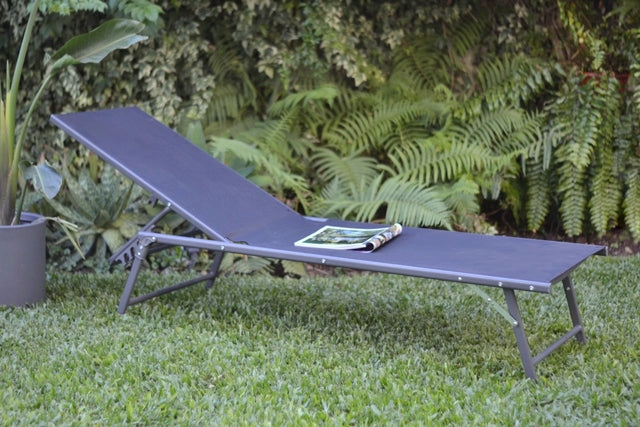 Set Reposera Delta 2 Unds c/Mesa Arrime Dark Grey