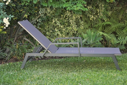 Reposera Delta c/Apoyabrazos x2 Dark Grey