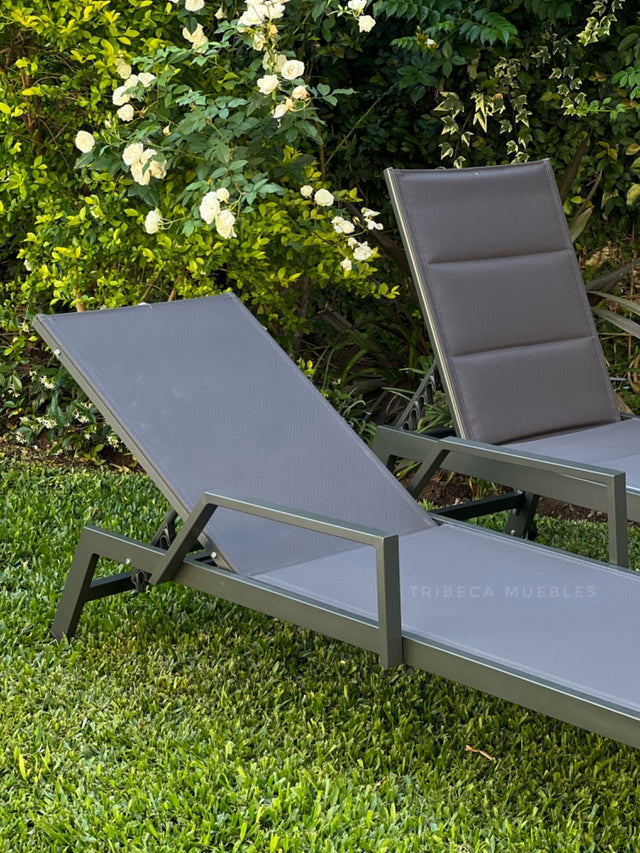 Reposera Delta c/Apoyabrazos x2 Dark Grey